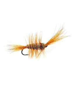 Bomber Brown
